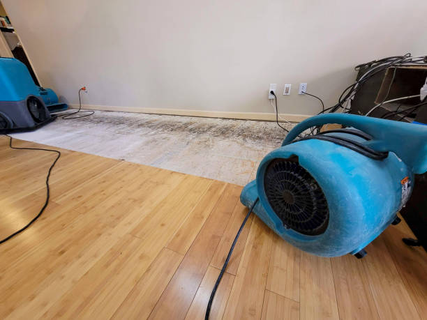 Professional Sewage Cleanup technician working in Luther, MI
